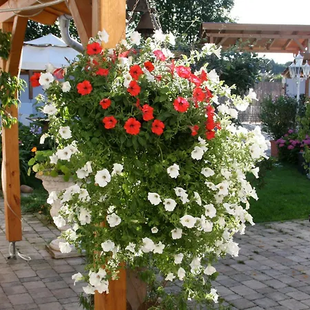 Apartahotel Chalet Valley 3*