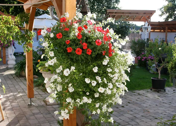 Aparthotel Chalet Valley 3*